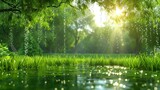 Sun shining through dense trees onto water surface