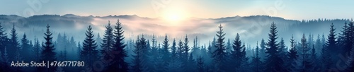 Sun rays penetrating dense fog in forest