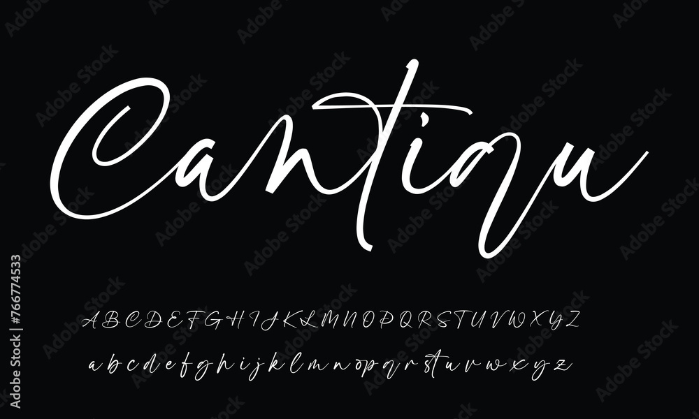 Lettering signature font isolated on grey background. brus style alphabet. Vector logo letters. - obrazy, fototapety, plakaty 