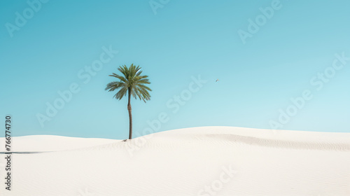 Minimalistic desert landscape. Sand  palm tree and bird. 