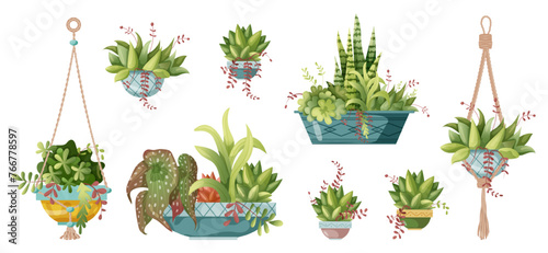 Houseplant and macrame plant growing in pots. Set of handmade home decorations macrame plants isolated on white background. Cartoon flat illustration