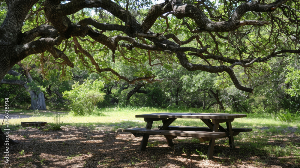 Find a shady spot under the branches of a gnarled old tree at a historical picnic site and watch the world go by. Find a shady spot under the branches of a gnarled old tree at a historical picnic site and watch the world go by.