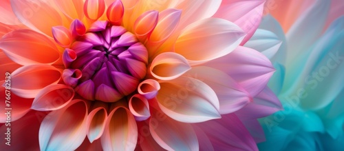 A closeup shot showcasing a vibrant Dahlia flower with magenta petals against a beautiful blue background, creating a stunning piece of floral art