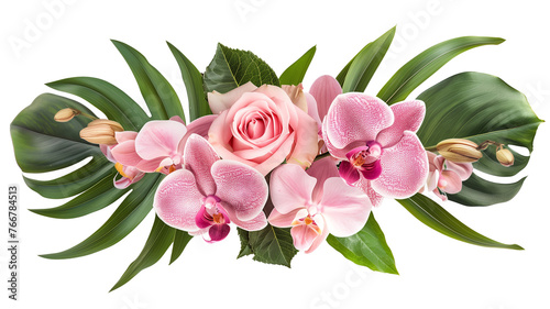 Pink rose and tropical orchid flowers with green leaves floral arrangement  bouquet  isolated on transparent background
