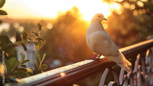 pigeon on the tree