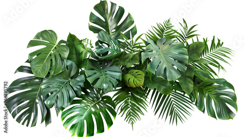 Fototapeta Naklejka Na Ścianę i Meble -  Tropical vibes plant bush floral arrangement with tropical leaves Monstera and fern, isolated on transparent background