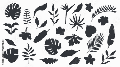 Tropical exotic summer set of leaves, flowers, and plants. Abstract silhouettes photo
