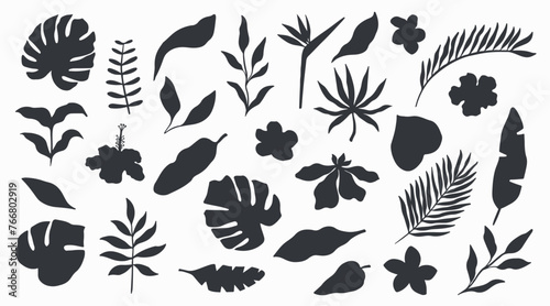 Tropical exotic summer set of leaves, flowers, and plants. Abstract silhouettes