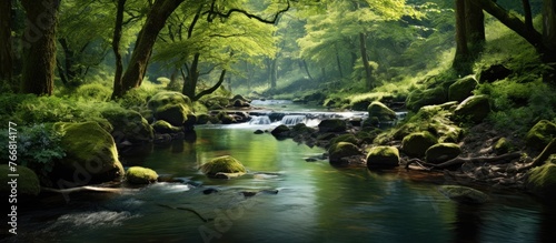 The serene image captures a narrow stream running through a vibrant and dense green forest environment  illustrating pure nature beauty.