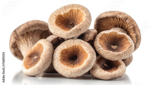 dry shiitake mushrooms isolated on white background