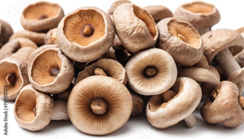 dry shiitake mushrooms isolated on white background photo