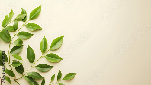 green leaf decoration on a light colored wall background with copy space