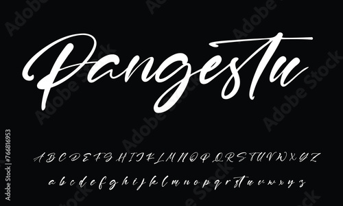 Signature Font Calligraphy Logotype Script Brush Font Type Font lettering handwritten