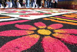 Flor en primer plano, hecha con aserrín, tapete artesanal colorido y tradicional