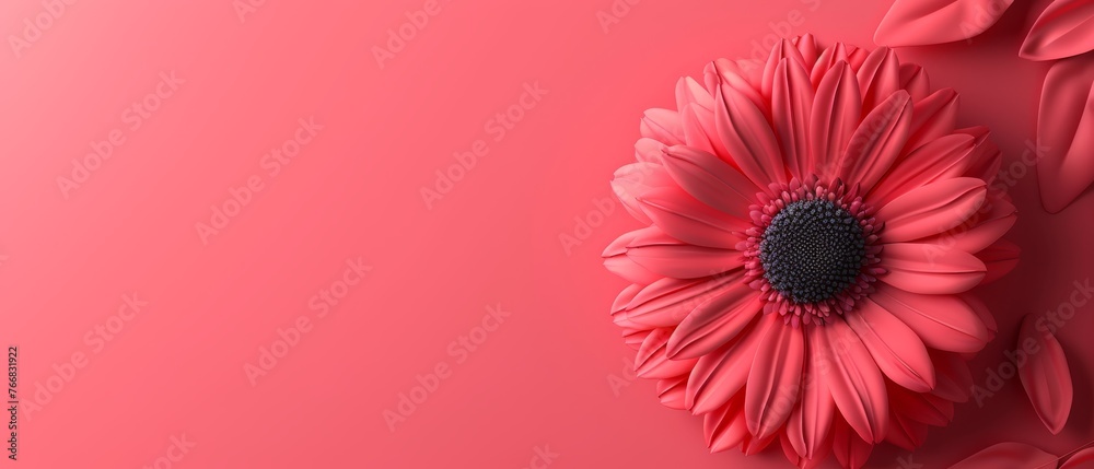 A beautiful pink flower blooming against a light pink backdrop, featuring a striking black center surrounded by intricate patterns A beautiful pink flower blooming against a light pink backdrop, featuring a striking black center surrounded by intricate patterns
