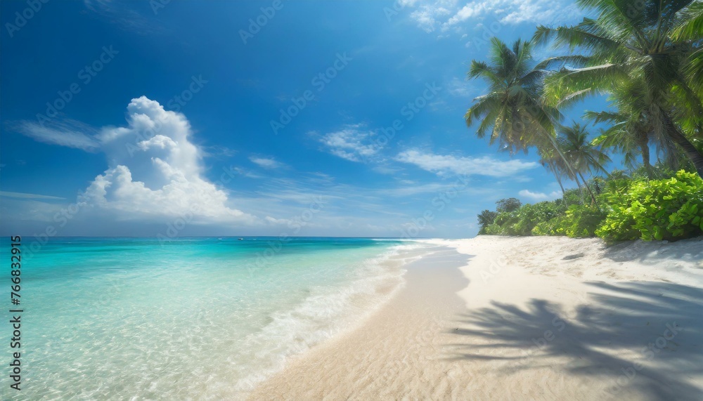 Tropical Escape: Scenic White Sand Beach and Clear Blue Waters