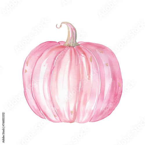 pink pumpkin watercolor good quality and good design