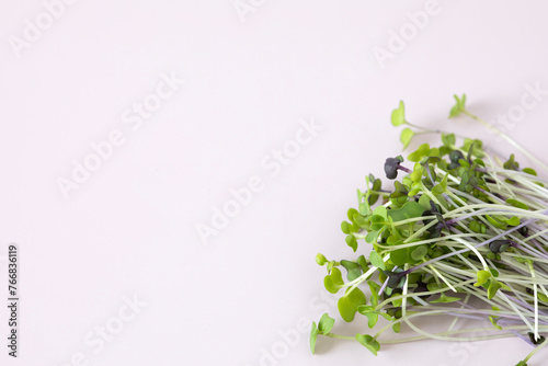 Closeup angle view of a pile of fresh micro greens on light pink nackground with copy space photo