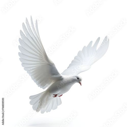 A white dove in flight symbolizing peace and freedom, often associated with the international day of peace and Christian religious concepts. © NE97