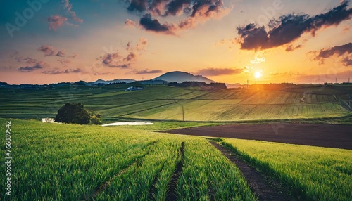 のどかない畑の風景