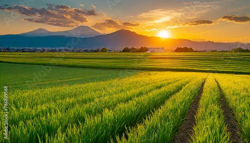 のどかな風景