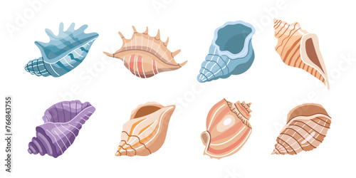 Sea shells vector set, mollusks. Flat illustration of various seashells on white background. Collection for stickers.