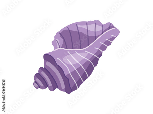 Sea shells vector illustration, mollusks. Flat illustration of seashell on white background. Ocean element for stickers.