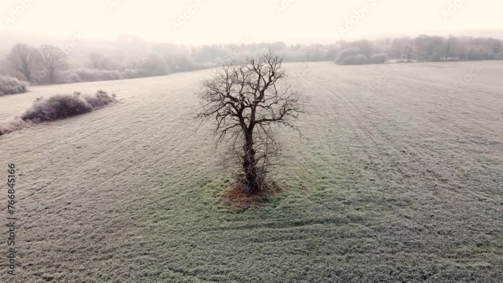 Vue aérienne d'un lever de soleil sur la campagne givrée, Bretagne