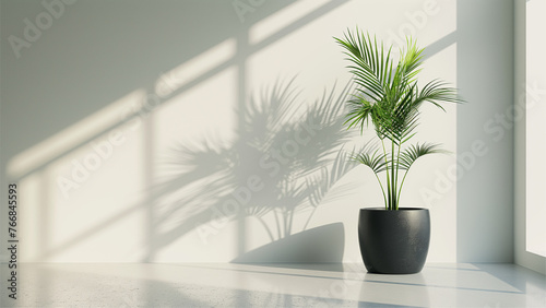 grey shadow studio showcase  shadow sunshine and sunbeam reflection on white wall and floor in empty luxury studio