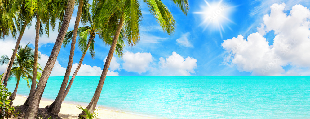 Naklejka premium Tropical island paradise sea beach, ocean water, green coconut palm tree leaves, sand, sun blue sky cloud, beautiful nature panorama landscape, Caribbean, Maldives, Thailand, summer holidays, vacation