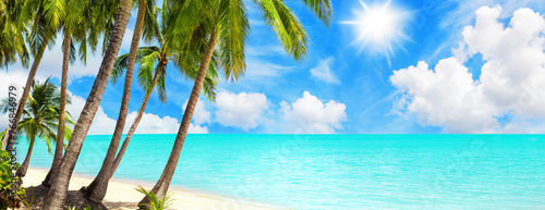 Tropical island paradise sea beach, ocean water, green coconut palm tree leaves, sand, sun blue sky cloud, beautiful nature panorama landscape, Caribbean, Maldives, Thailand, summer holidays, vacation © Vera NewSib
