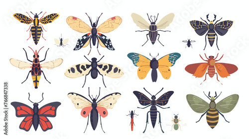 Vintage Insects Reference Illustration Science Flat vector © Roses