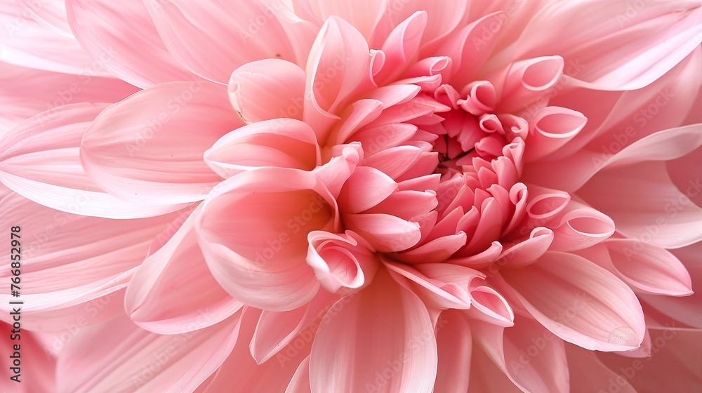 Fototapeta premium macro view of pink flower petals with an abstract background, focusing on the beauty and vibrant color of the petals, and the delicate details of the floral texture
