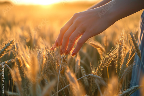 Woman farmer walks through a wheat field at sunset, touching gold ears of wheat with his hands. Young man's hand moving through wheat field. photo