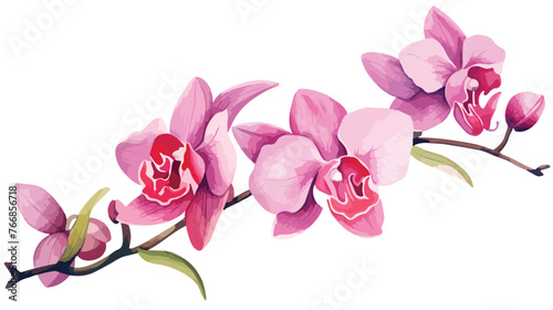 Watercolor Orchid Flat vector isolated on white background