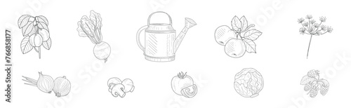 Garden Crop Harvest and Yield Linear Vector Set