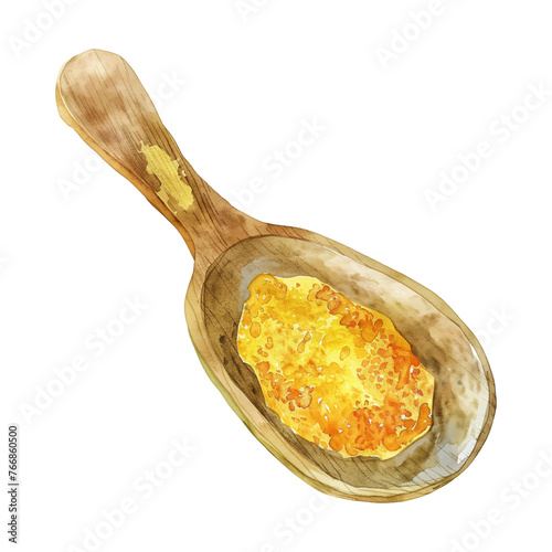 wood spoon spice watercolor good quality and good design