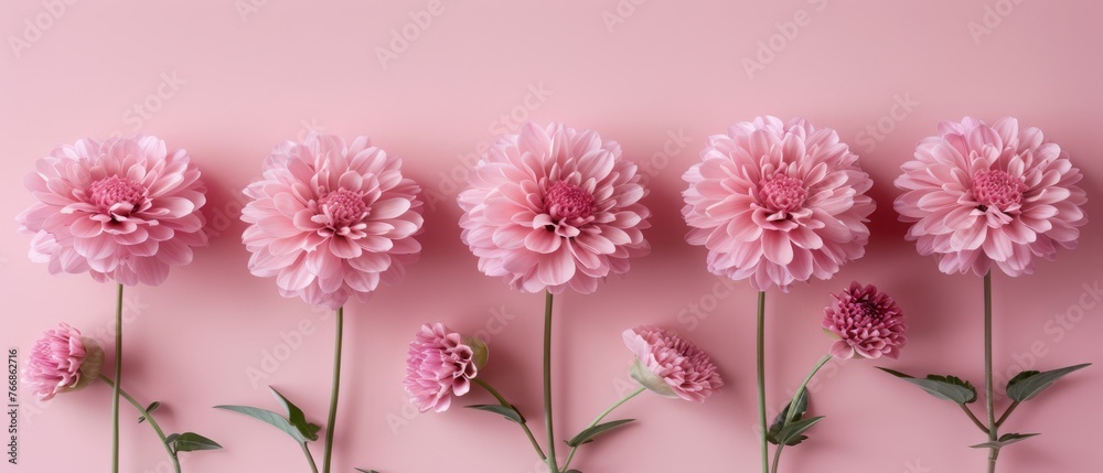  A beautiful arrangement of pink flowers sits atop a pink background, with a single bloom in the center