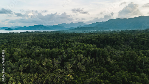 Beautiful lush tropical forests hide the ugly effects of logging in the area.