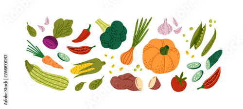 Different vegetables set. Fresh farm products, healthy autumn harvest, fall crop. Natural vegan food, organic pumpkin, onion, carrot. Flat isolated drawing vector illustration on white background
