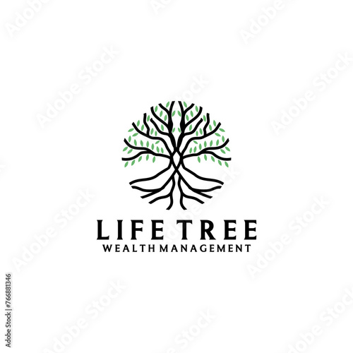 Life tree wealth management logo design