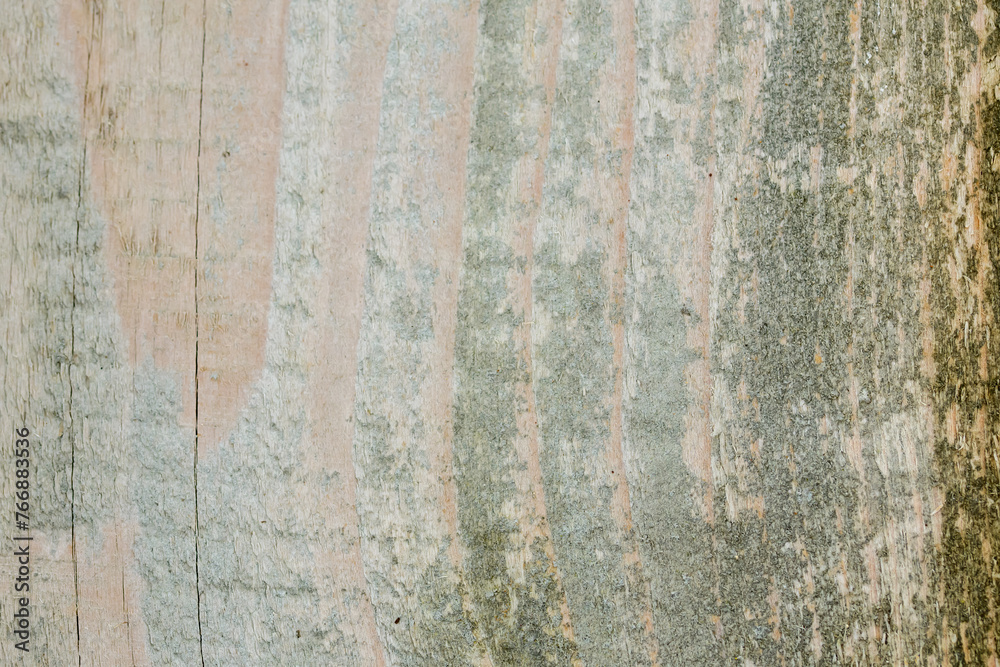 Obraz premium Tło, szare popękane stare drewno z bliska