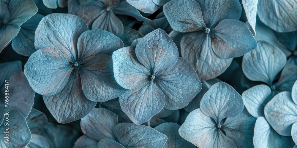 Organic Petal Texture in Cool Tones