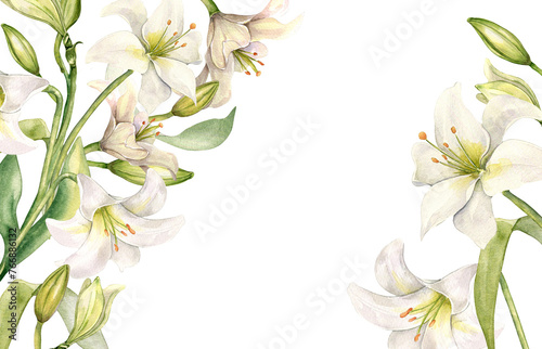 Floral border with white lilies. Lily and buds watercolor isolated on white. White flower and stem botanical Illustration hand drawn. Design for wedding invitation in church, christen, Easter card