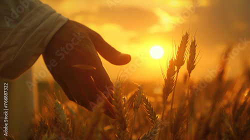 Symbolic Depiction of Wheat Field., faith, religious imagery, Catholic religion, Christian illustration photo
