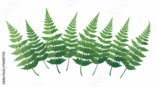 Fern Leaves flat vector isolated on white background