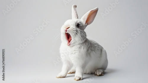 A white rabbit poses against a white backdrop with its mouth open