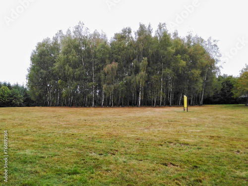 trees in the park photo