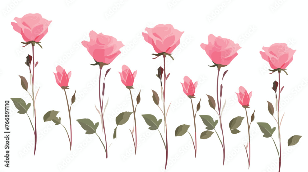Pink Roses Long Stems flat vector isolated on white background