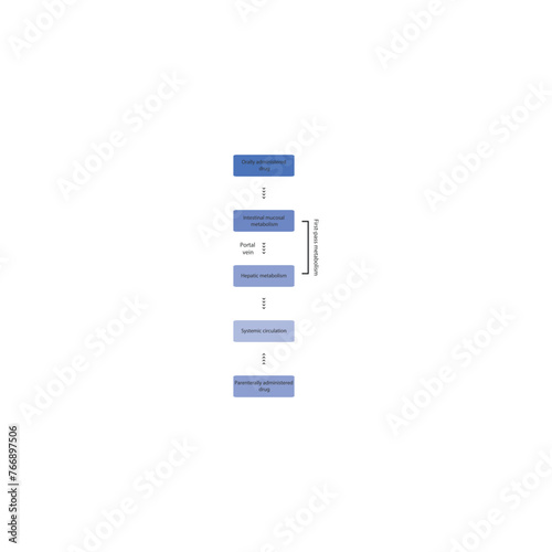 Diagram of drug first pass metabolism process - oral drug administration, intestinal mucosal metabolism, hepatic metabolism and systemic circulation vs. parenteral drug administration.